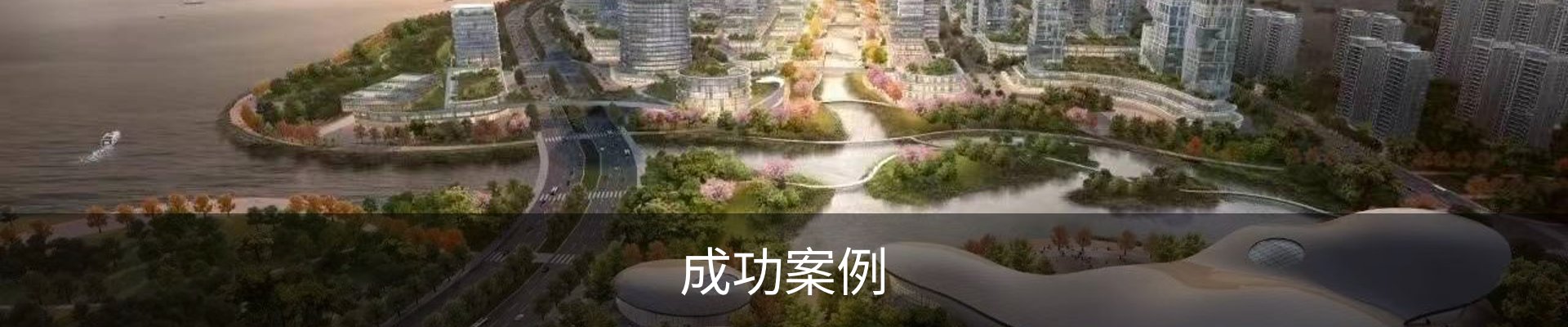 成功案例